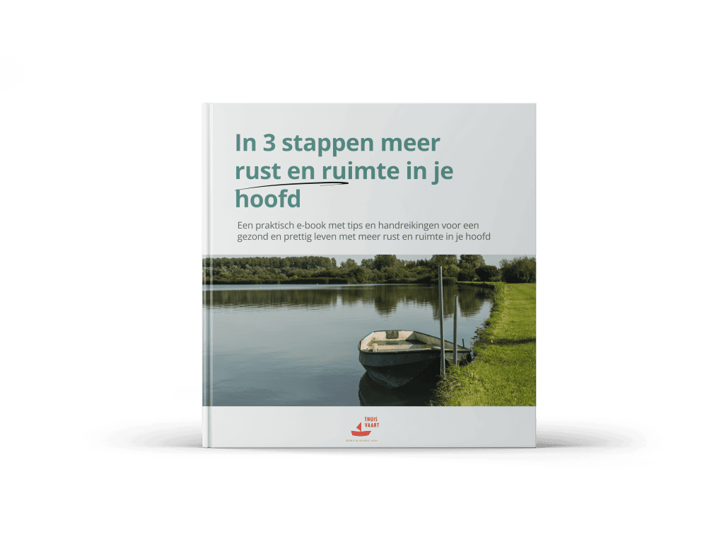 Cover ebook Thuisvaart